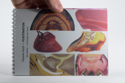 Horse foot anatomy teaching booklet for hands-on use in practice